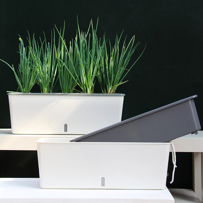 Self-Watering Planter Pot